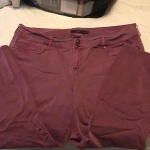 Torrid purple jeggings